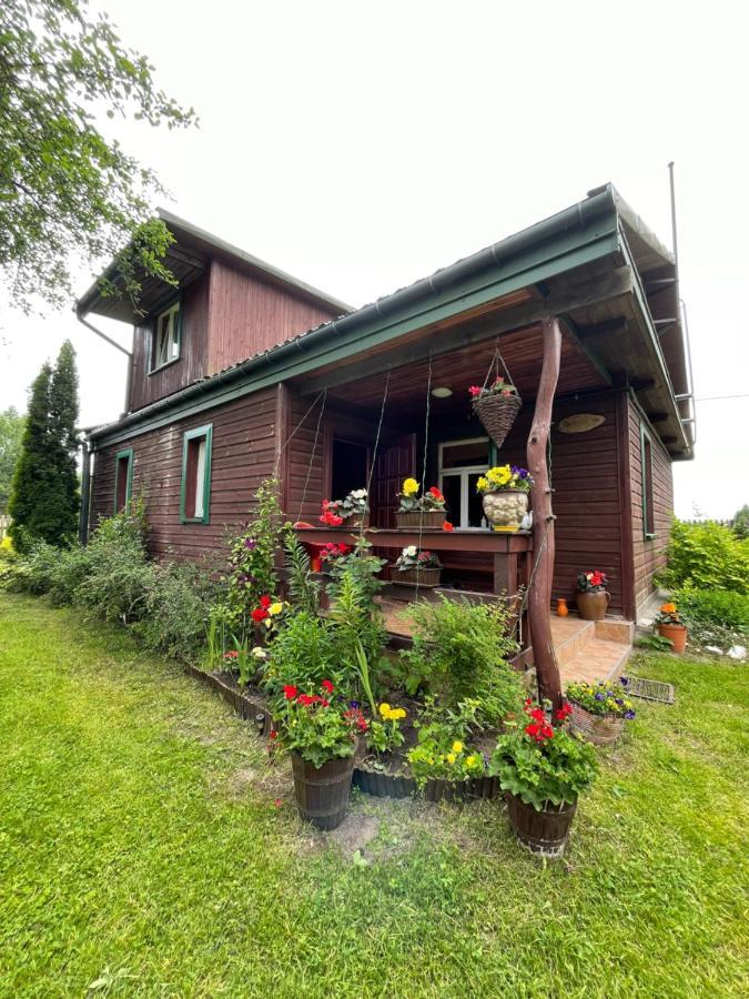 Dom Na Skraju Puszczy Bialowieskiej Narewka Bagian luar foto