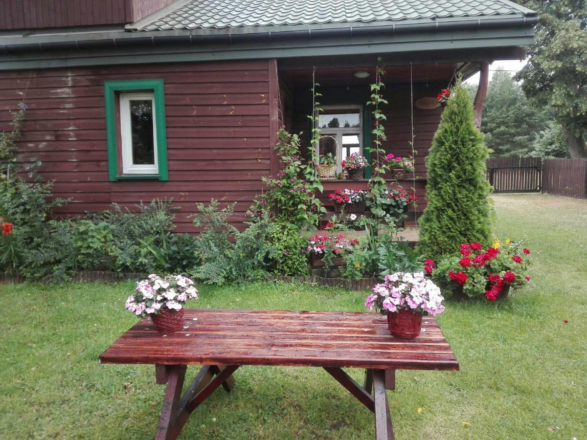 Dom Na Skraju Puszczy Bialowieskiej Narewka Bagian luar foto